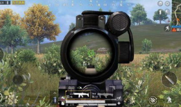 和平精英吃瓜网络公主爆料动态,网络公主爆料，吃瓜群众热议新动态